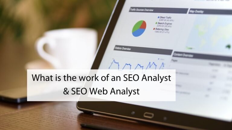 SEO web analyst