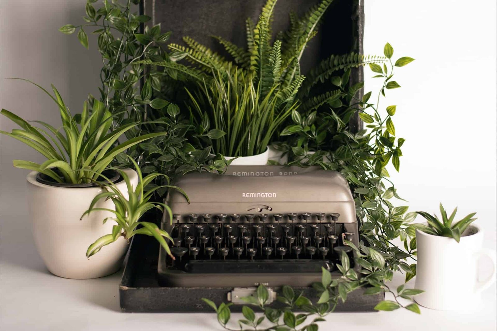 shelby miller hL0xl0qmxYM unsplash