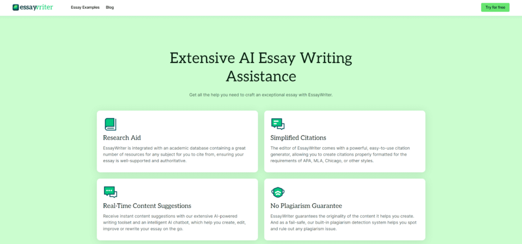 EssayWriter Review